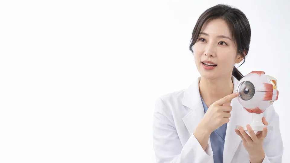 안구 모형을 들고 설명하는 의사